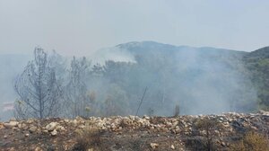 Κινητοποίηση της Πυροσβεστικής για φωτιά σε δασική έκταση στη Ρόδο