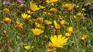 Μάης ήρθε… μαγικός και πολύχρωμος!