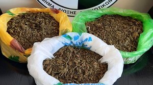 Πλούσια... η σοδειά της Δίωξης Ναρκωτικών