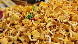 Η υπερτροφή που «προστατεύει» την καρδιά και ενισχύει το ανοσοποιητικό