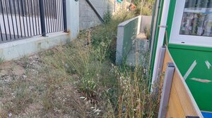 Φαινόμενα εγκατάλειψης σε νηπιαγωγείο στις Μεσαμπελιές - Δείτε φωτογραφίες