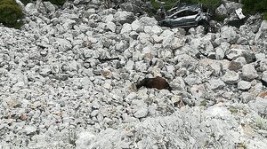 Πάρνηθα: Εντοπίστηκαν νεκρά δύο άλογα σε δυσπρόσιτο γκρεμό