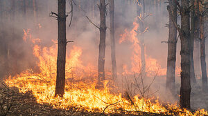 Σε ύφεση οι φωτιές στο Ρέθυμνο