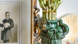 Πώς θα φέρεις πλούτο στο σπίτι σου σύμφωνα με το φενγκ σούι