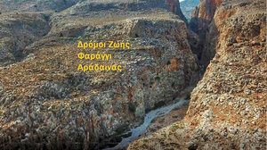 Στην Αράδαινα οι "Δρόμοι Ζωής"