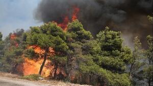 Πολύ υψηλός κίνδυνος πυρκαγιάς σήμερα για 5 περιφέρειες