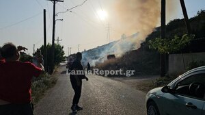 Πυρκαγιά κοντά σε σπίτια στη βόρεια πλευρά της Λαμίας