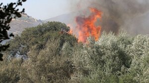 Καλαμάτα: Καλή εικόνα παρουσιάζει η φωτιά στην περιοχή Υάμεια-Υπό έλεγχο η πυρκαγιά στη Λευκοχώρα 