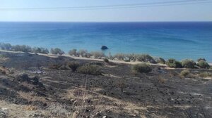 Μεγάλη φωτιά στο Καστρί Βιάννου