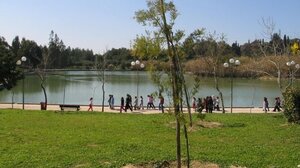 Κλειστά από σήμερα το Πάρκο Τρίτση, το Πεδίον του Άρεως, ο Λόφος Φινοπούλου και το Αττικό Άλσος