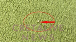 Συνεχίζονται οι έρευνες για την "αδέσποτη" σφαίρα στο γήπεδο