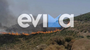 Εύβοια: Φωτιά σε δασική έκταση στον Πλατανιστό Καρύστου -Τρία τα μέτωπα