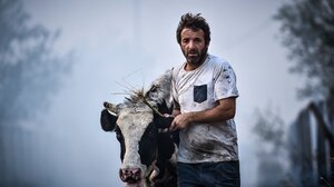 Μαίνεται η φωτιά στη Μαγνησία: Σε 8 περιοχές ήχησε το 112 τα ξημερώματα