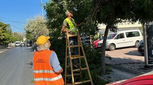 Μαλεβίζι: Εκτεταμένες δράσεις συντήρησης πρασίνου στην Αμμουδάρα