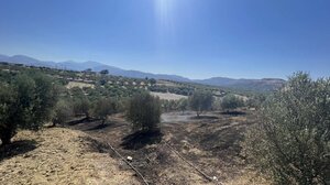 Φωτιά σε γεωργικές εκτάσεις στη Γαρίπα