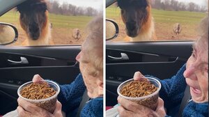 Γιαγιά 93 ετών σε χαοτικό σαφάρι!