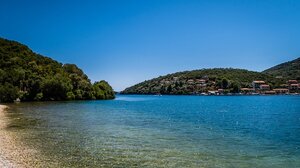 Πεύκο έπεσε μέσα στη θάλασσα στο Περιγιάλι Λευκάδας