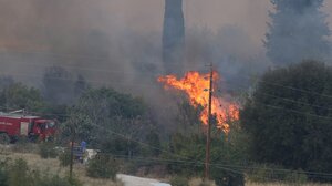 Βροχόπτωση περιόρισε τις εστίες φωτιάς στην Καβάλα