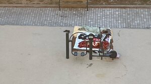 Νέοι γείτονες στο πάρκο της Εφόδου