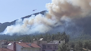 Φωτιά στην Τρίπολη: Ανεξέλεγκτη η κατάσταση, ενισχύθηκαν οι πυροσβεστικές δυνάμεις