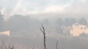 Τραγωδία στην Αλεξανδρούπολη: Και παιδιά ανάμεσα στους απανθρακωμένους που βρέθηκαν στο δάσος της Δαδιάς