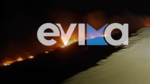 Φωτιά στην Εύβοια: Καίει δάσος με πεύκα