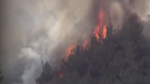 Λάρισα: Σε σύγχυση ο 70χρονος που οδηγήθηκε στον εισαγγελέα με την κατηγορία του εμπρησμού