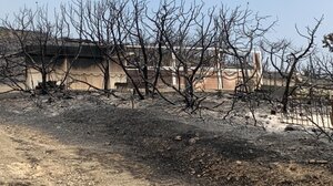 Πυρόπληκτες επιχειρήσεις: Σε αναστολή οι εργαζόμενοι - Ανοίγει η πλατφόρμα για το επίδομα των 534 ευρώ