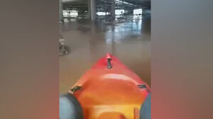 Μπήκε με βάρκα στη μονάδα του και είδε 800 πρόβατα πνιγμένα! - Βίντεο