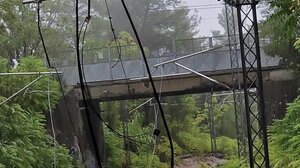 Πτώση δέντρου κόβει τα καλώδια που δίνουν ρεύμα στο τρένο