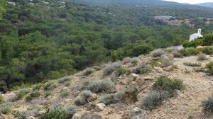 Μνημόνιο συνεννόησης για τη διατήρηση και προστασία της βιοποικιλότητας της Γαύδου