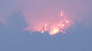 Συνεχίζεται ο εφιάλτης στον Έβρο: Στις φλόγες και ο μικρός πυρήνας του δάσους της Δαδιάς