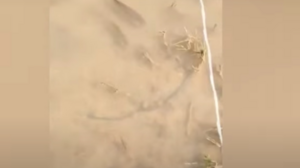 Ψάρια κολυμπούν σε πεζοδρόμιο στη Λάρισα – Απίστευτες εικόνες μετά την κακοκαιρία Daniel