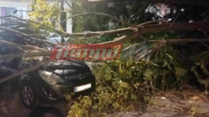 Πάτρα: Δέντρο έπεσε σε γυναίκα περίμενε το παιδί της και την τραυμάτισε!