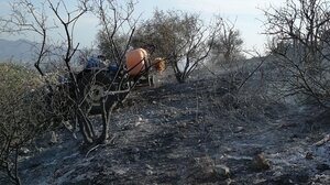 Σε ύφεση φωτιά που ξέσπασε στον Δήμο Φαιστού- Δείτε φωτογραφίες