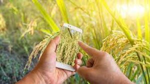 Και επίσημα η πληρωμή για Οικολογικά Σχήματα, υπόλοιπα ενίσχυσης και μεταβιβάσεις