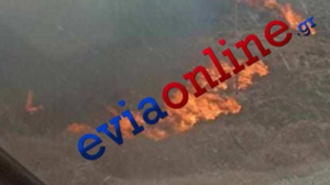 Φωτιά Εύβοια: Ανεξέλεγκτα τα μέτωπα, εκκενώθηκαν δύο χωριά