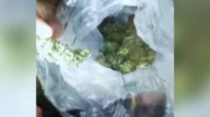 Διασωληνωμένη 16χρονη μετά από χρήση ουσιών - "Τη χρησιμοποιούσαν για να δοκιμάζουν κοκτέιλ ναρκωτικών"