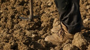 Κοινή ανακοίνωση αγροτικών συλλόγων για την τροπολογία που αφορά τους εργάτες γης