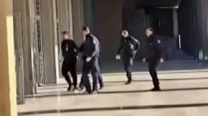 Θεσσαλονίκη: Προφυλακίστηκε ο ιδιοκτήτης των σκύλων που κατακρεούργησαν την 50χρονη