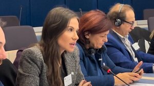 Αρκαλοχώρι, Αγία Πελαγία και Σητεία … στις Βρυξέλλες, από την Ελένη Βατσινά