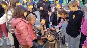 Στο 14ο Δημοτικό Σχολείο του πρόγραμμα "Ενσυναίσθηση και ζώα"