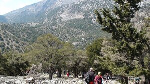 Κόβει την πίτα του ο Φυσιολατρικός Σύλλογος Ηρακλείου