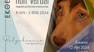 Έκθεση φωτογραφίας «Non verbal – Μη λεκτική επικοινωνία»