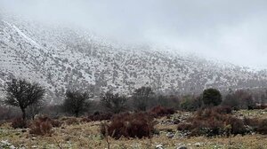 "Έπεσε" το πρώτο χιόνι στο Λιμνάκαρο!