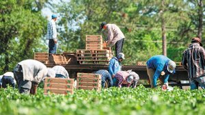 Έκτακτη Γενική Συνέλευση των αγροτών στην Ιεράπετρα
