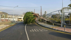  Σοβαρές ζημιές από ανεμοστρόβιλους στη Λεμεσό - Ακρωτηριάστηκε στα δάκτυλα ένας άνδρας