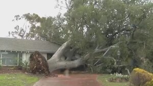 Σφοδρές βροχοπτώσεις και ανεμοθύελλες σαρώνουν την Καλιφόρνια