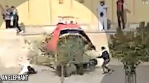  Ινδία: Ελέφαντας σε αμόκ στριφογυρίζει τουρίστρια σαν κούκλα 