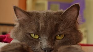 Aυτά τα τρία ζώδια σε διαβάζουν σαν ανοιχτό βιβλίο